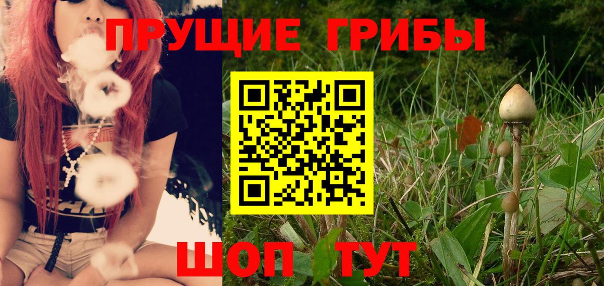 Галлюциногенные грибы Psilocybine cubensis  Вход с VPN  Лангепас 
