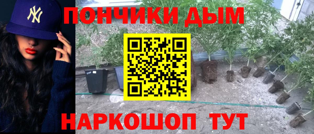 Конопля сатива  Каннабис AK-47  Вход с VPN  Шишки марихуана Ganja  Лангепас 